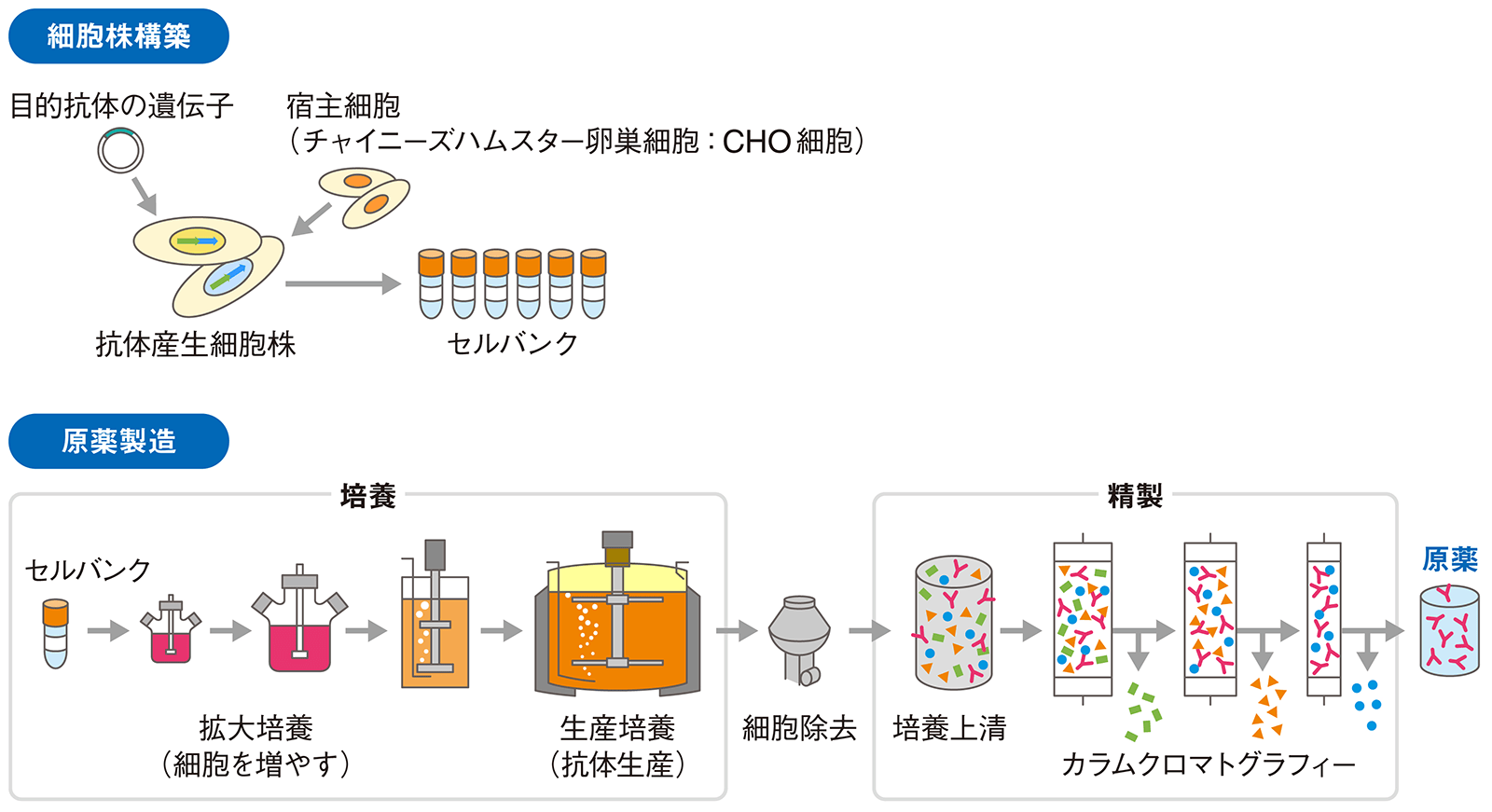 LABORATORIES研究所案内バイオプロセス研究Bioprocess Research